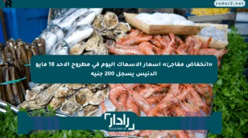 «انخفاض مفاجئ» أسعار الأسماك اليوم في مطروح الأحد 18 مايو الدنيس يسجل 200 جنيه